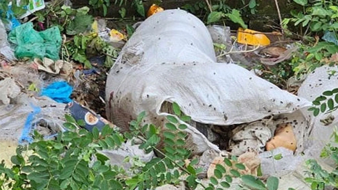 ময়লার স্তূপে দুর্গন্ধ, বস্তায় মিলল স্কুলছাত্রীর মরদেহ