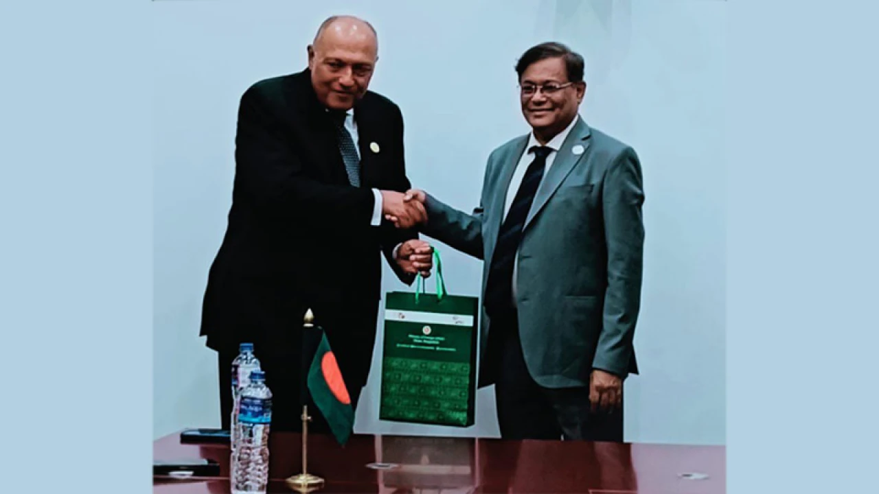 ভিসা অব্যাহতি ও বাণিজ্য সম্প্রসারণ নিয়ে মিশরের সঙ্গে আলোচনা