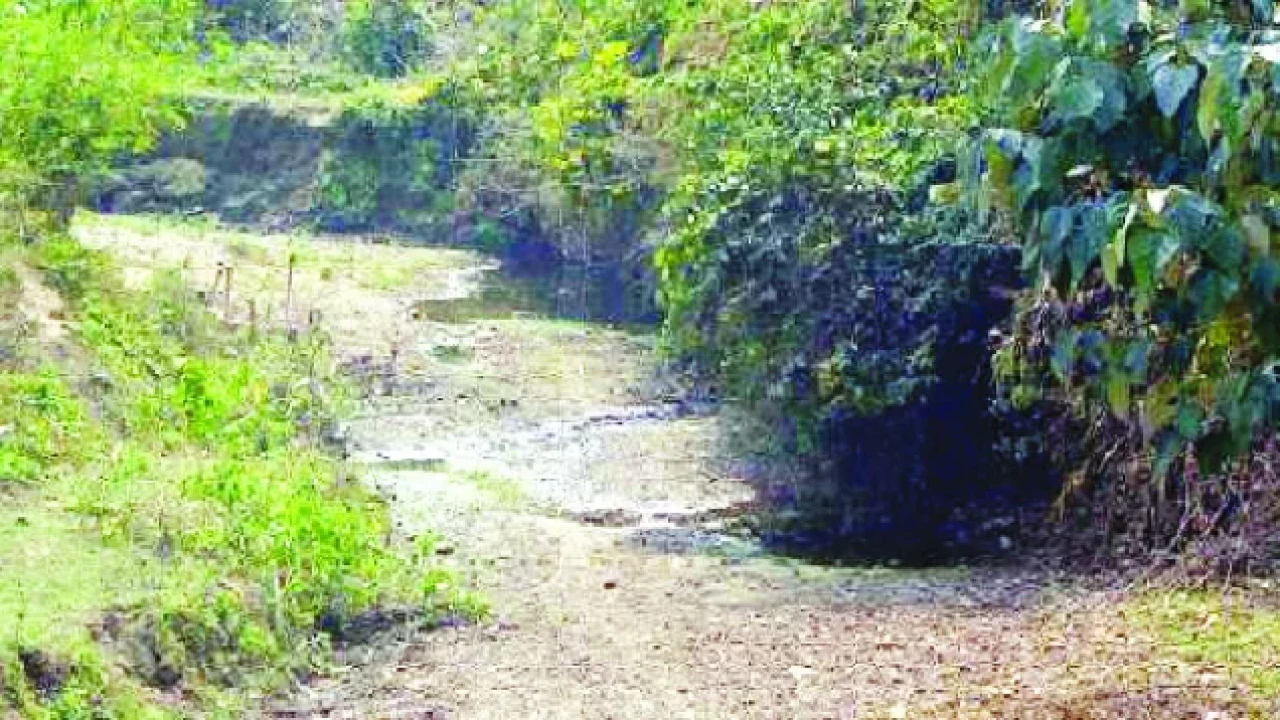 রামুতে পাহাড়ি ছড়ায় গোসলে নেমে ২ শিশুর মৃত্যু