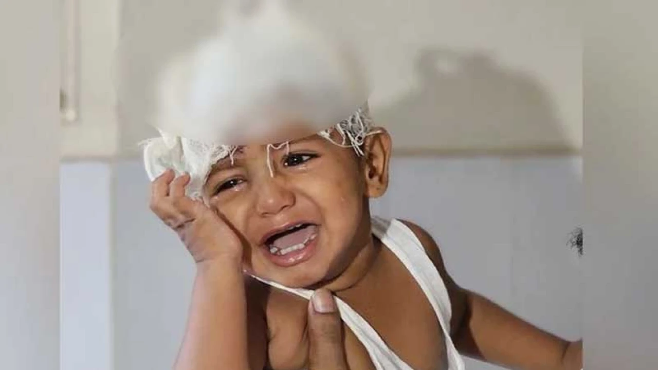 অলৌকিকভাবে বেঁচে যাওয়া জায়েদকে মামার জিম্মায় দিতে নির্দেশ হাইকোর্টের