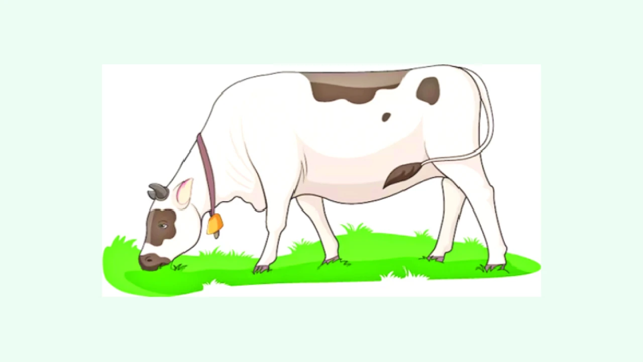 দুধ-মাংসের দাম কমাতে সমাধান মিলবে ঘাসে