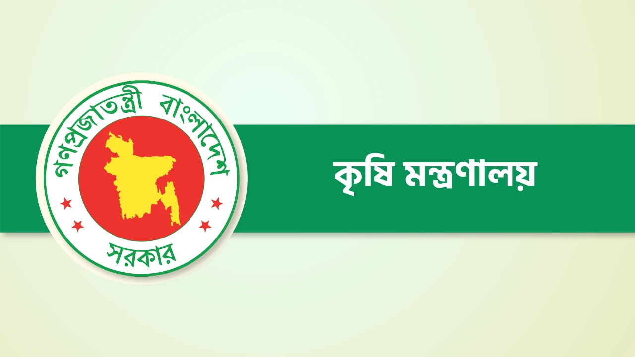 আমনের উৎপাদন বাড়াতে ৪০ কোটি টাকা দেবে সরকার