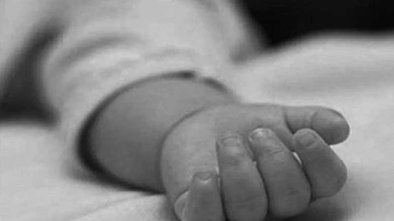 প্রতিপক্ষের হামলায় মায়ের কোলে থাকা নবজাতক নিহত