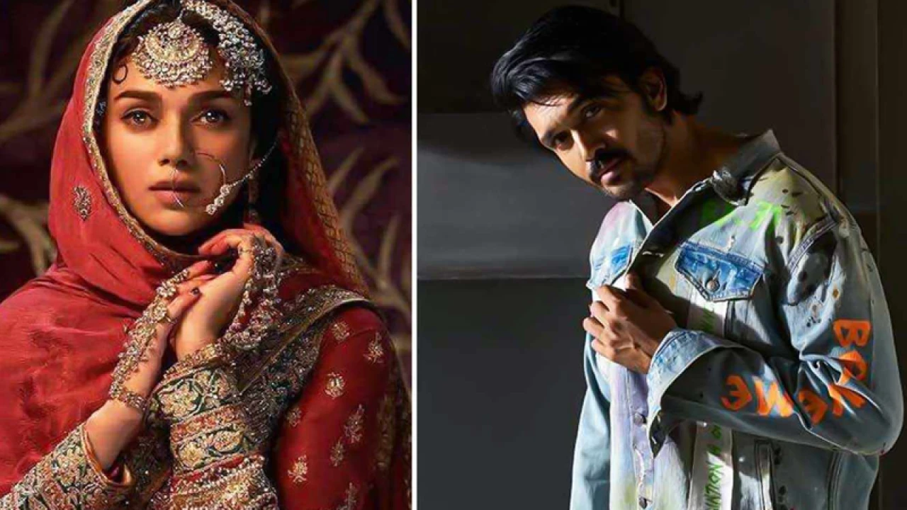 আরিফিন শুভর প্রশংসায় ‘হীরামন্ডি’ নায়িকা