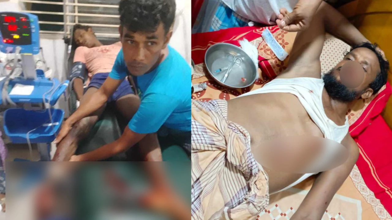 সীমান্তে মাইন বিস্ফোরণে দুই বাংলাদেশি আহত