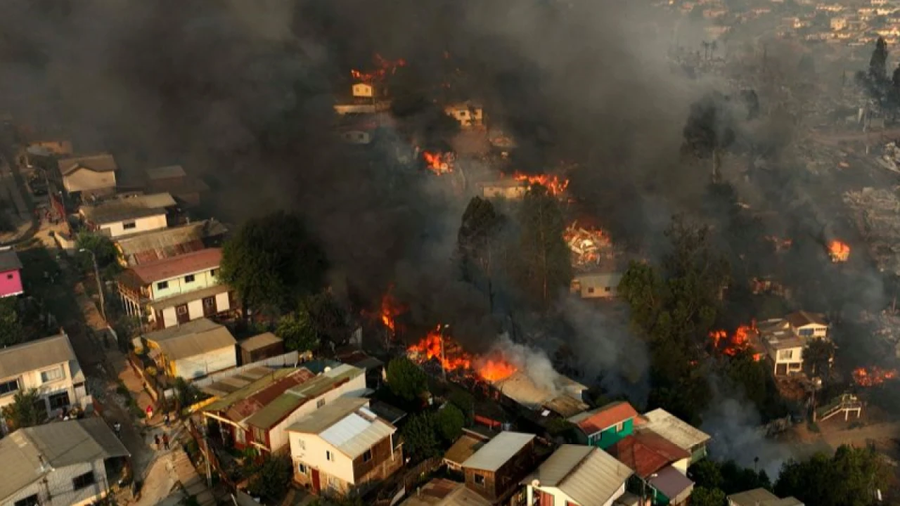 সিগারেটের আগুন থেকে দাবানল, ১৩০ জনের মৃত্যু