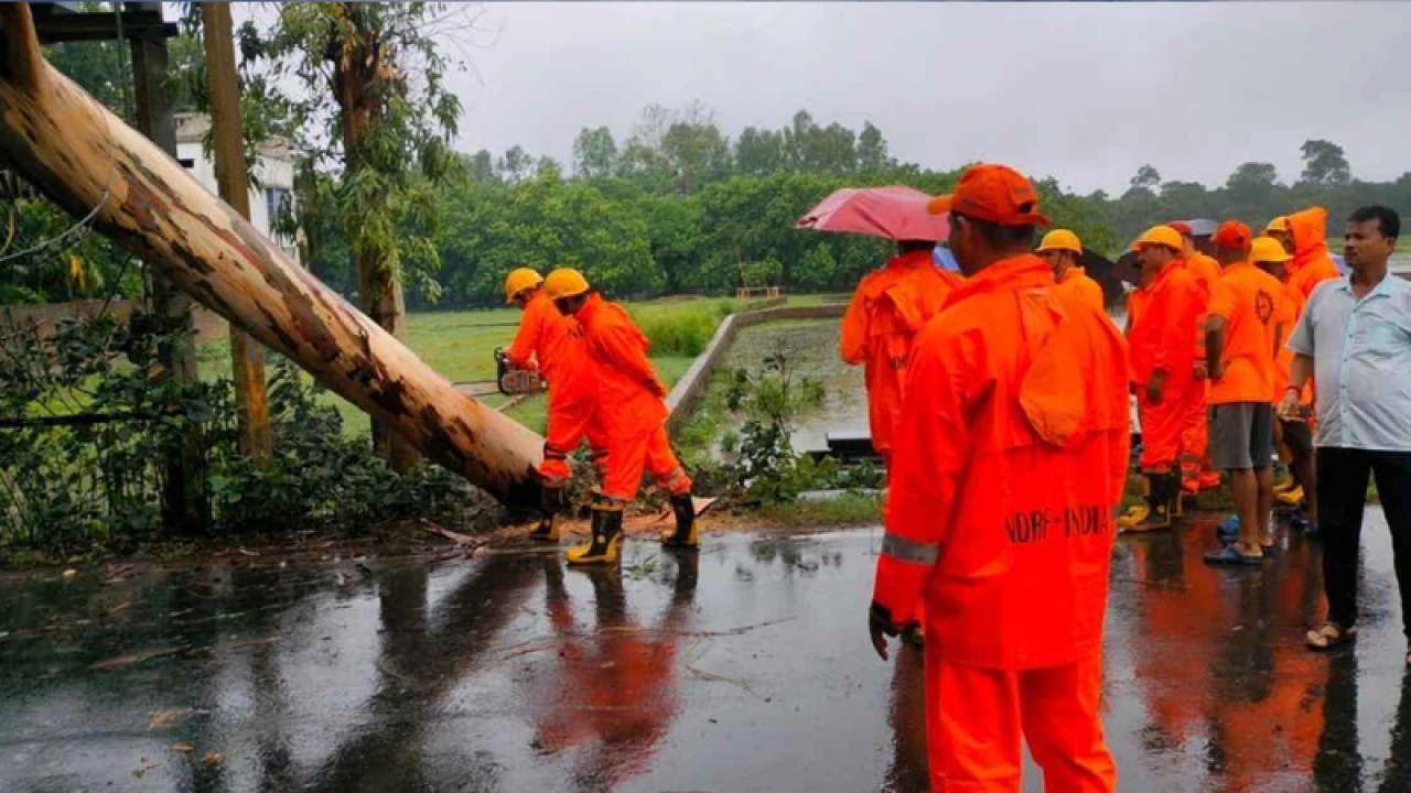 ভেঙে পড়া গাছ কাটতে গিয়ে বাবার মৃত্যু, বাঁচাতে গিয়ে প্রাণ হারালেন ছেলে