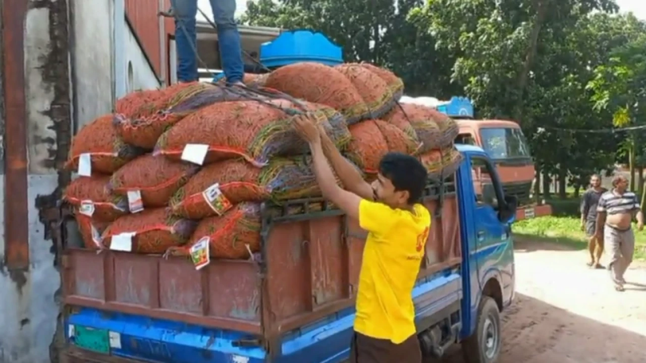 হিলি দিয়ে দেশে এল ২২ ট্রাক ভারতীয় কাঁচা মরিচ