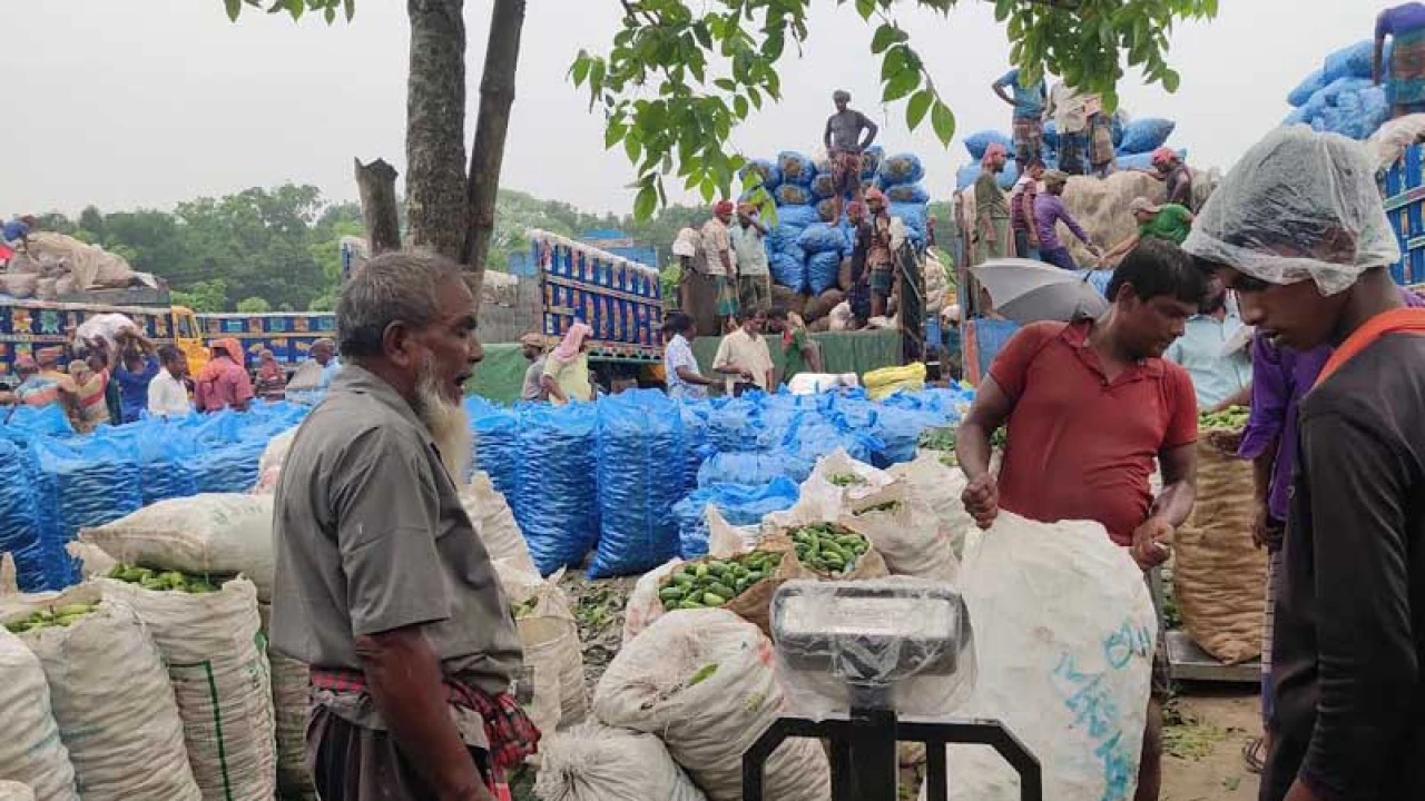 ৫ টাকা কেজির পটোল ২০০ মিটার দূরে গিয়েই ৩৫ টাকা!