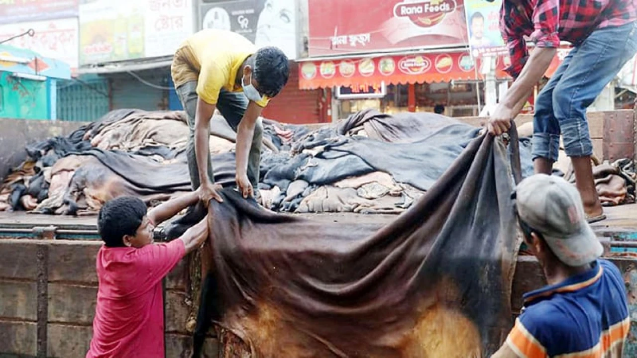 কোরবানির পশুর চামড়ার দাম নির্ধারণ করল সরকার