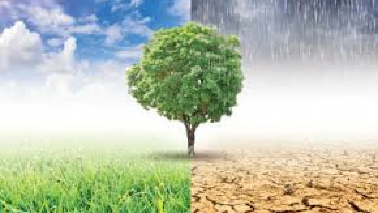 ‘পরিবেশের ভারসাম্য রক্ষার ওপর আমাদের অস্তিত্ব নির্ভর করছে’