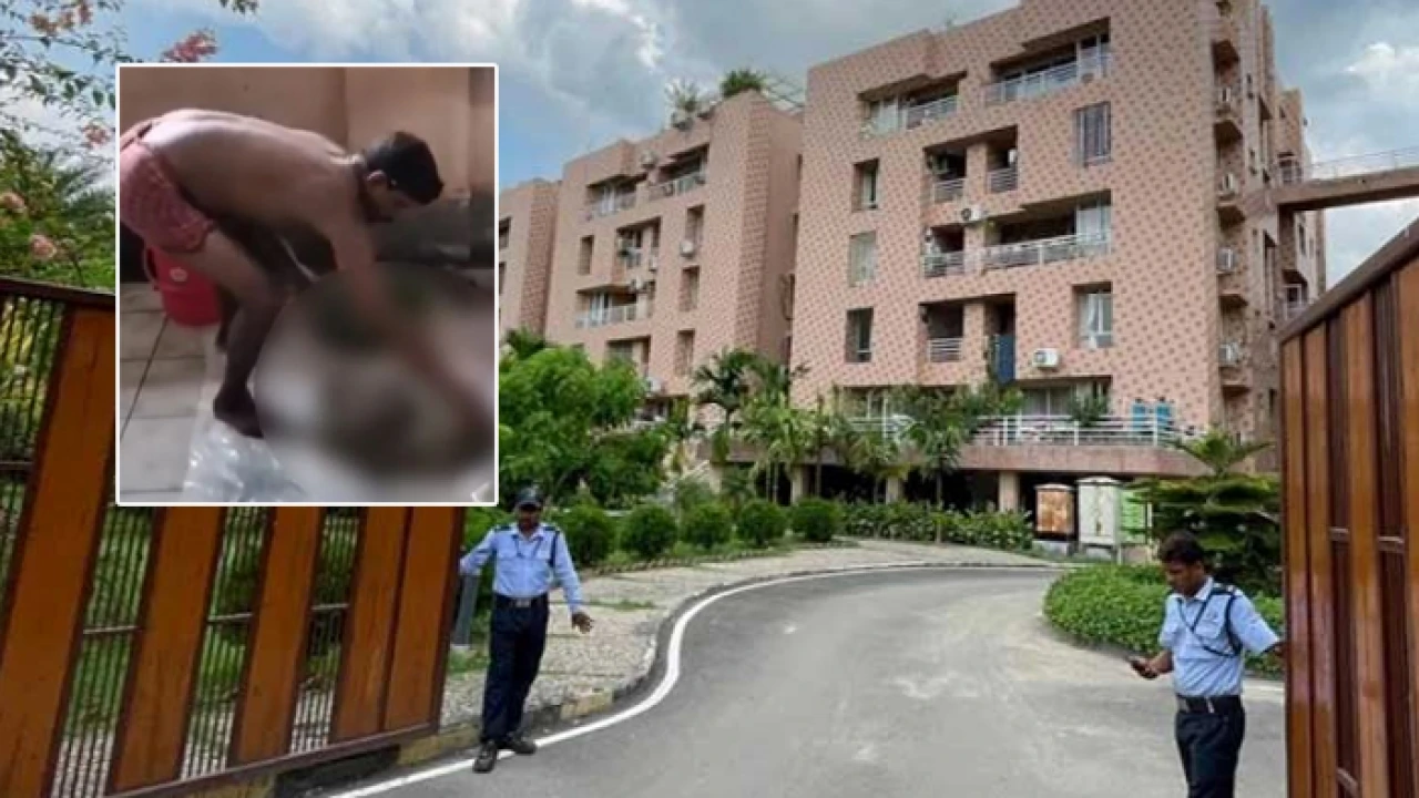 সঞ্জীভার সেপটিক ট্যাংকে পাওয়া মাংস মানুষের