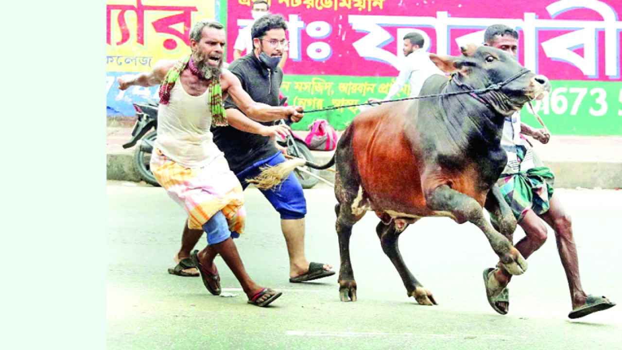 শেষ মুহূর্তে চাঙ্গা পশুর হাট
