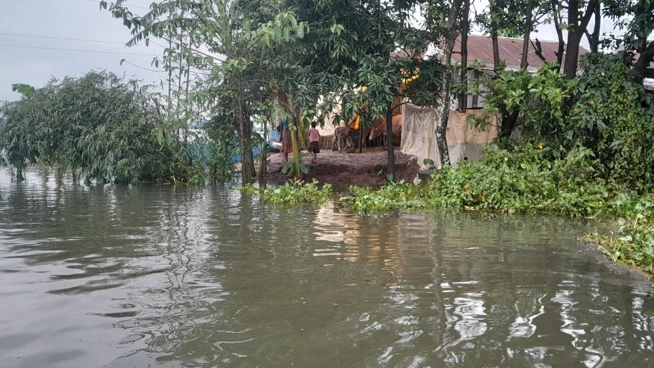 ফের সিলেটে বন্যা, ১৪৬ গ্রাম প্লাবিত