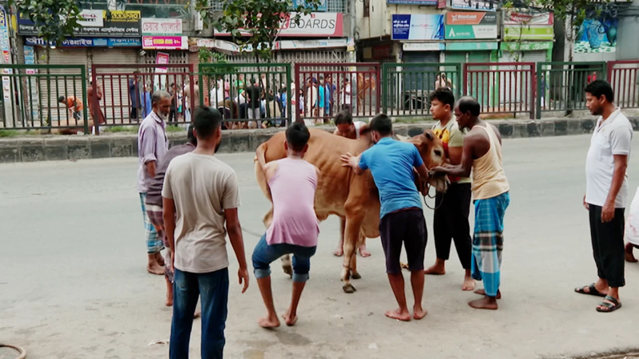ঈদের দ্বিতীয় দিনে চলছে পশু কোরবানি