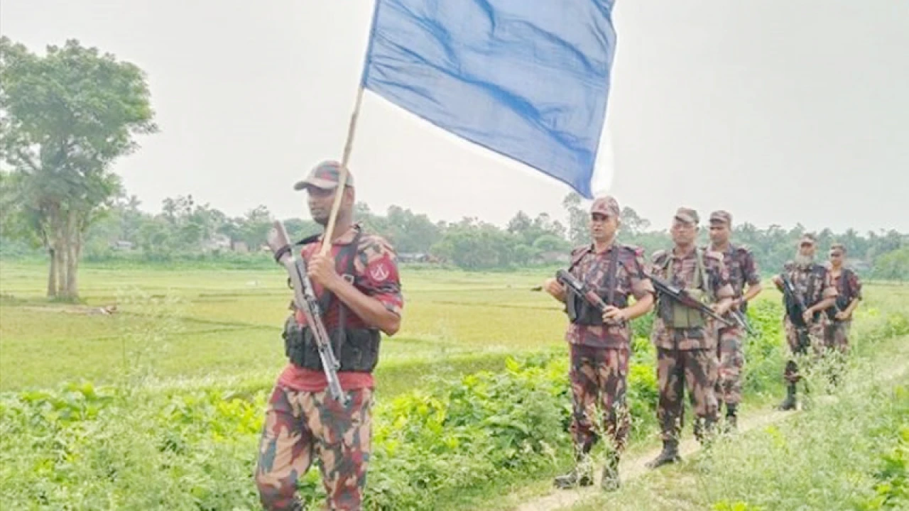 চামড়া পাচার রোধে বেনাপোলের বিভিন্ন সীমান্তে সতর্কতা জারি