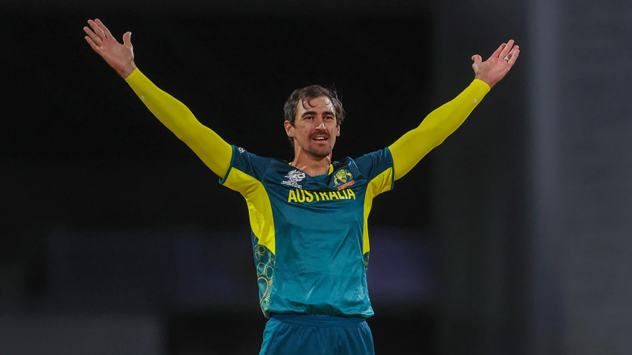 বিশ্বকাপের সর্বোচ্চ উইকেটশিকারী এখন স্টার্ক, তিনে সাকিব