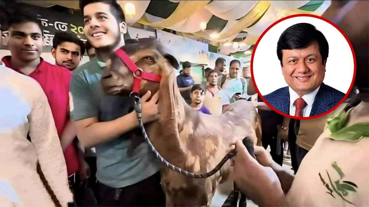 ছাগলকাণ্ডে বেরিয়ে এলো টাকার কুমির মতিউর