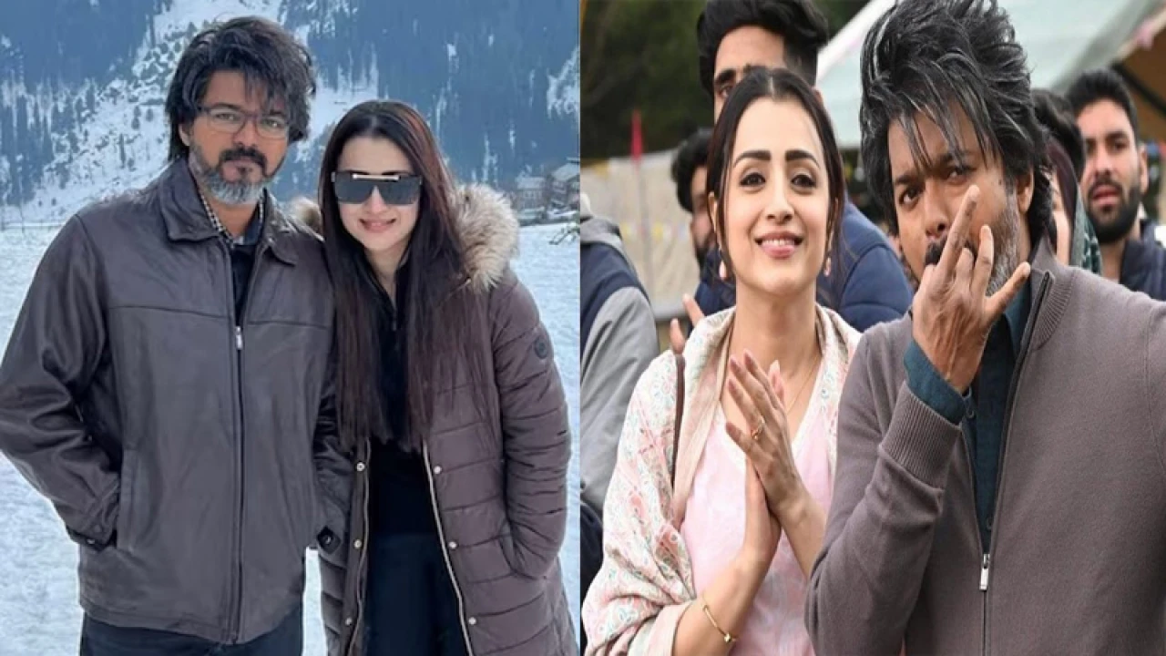 প্রেম নয়, লিভ ইন করছেন বিজয়-তৃষা!