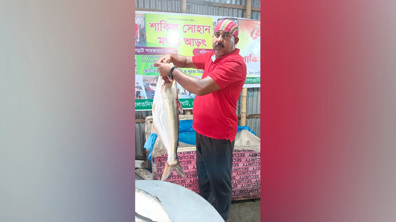 ৭ কেজির ঢাই মাছ বিক্রি হলো ২২ হাজার টাকায়
