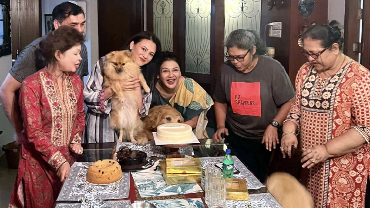 জন্মদিনে কুকুরের খাওয়া কেক কাটলেন জয়া আহসান!