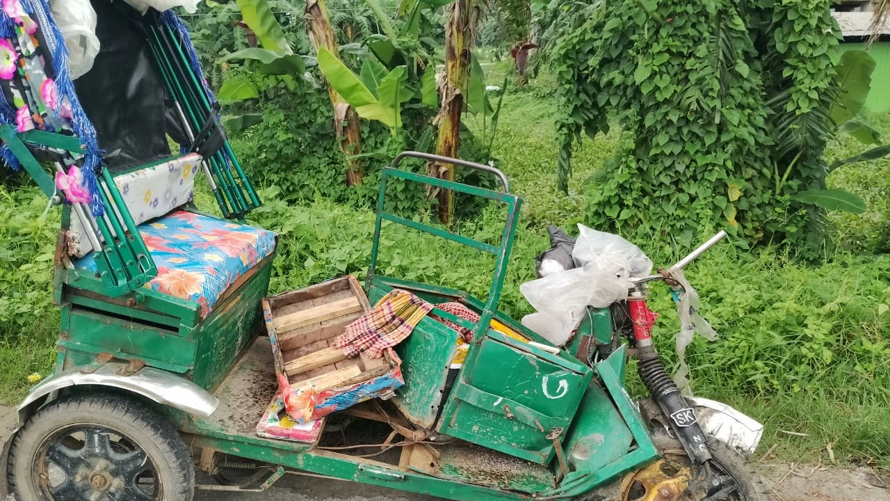 ভাইকে নিয়ে ডাক্তার দেখাতে গিয়েছিলেন অন্তঃসত্ত্বা, লাশ হলেন দুজনই