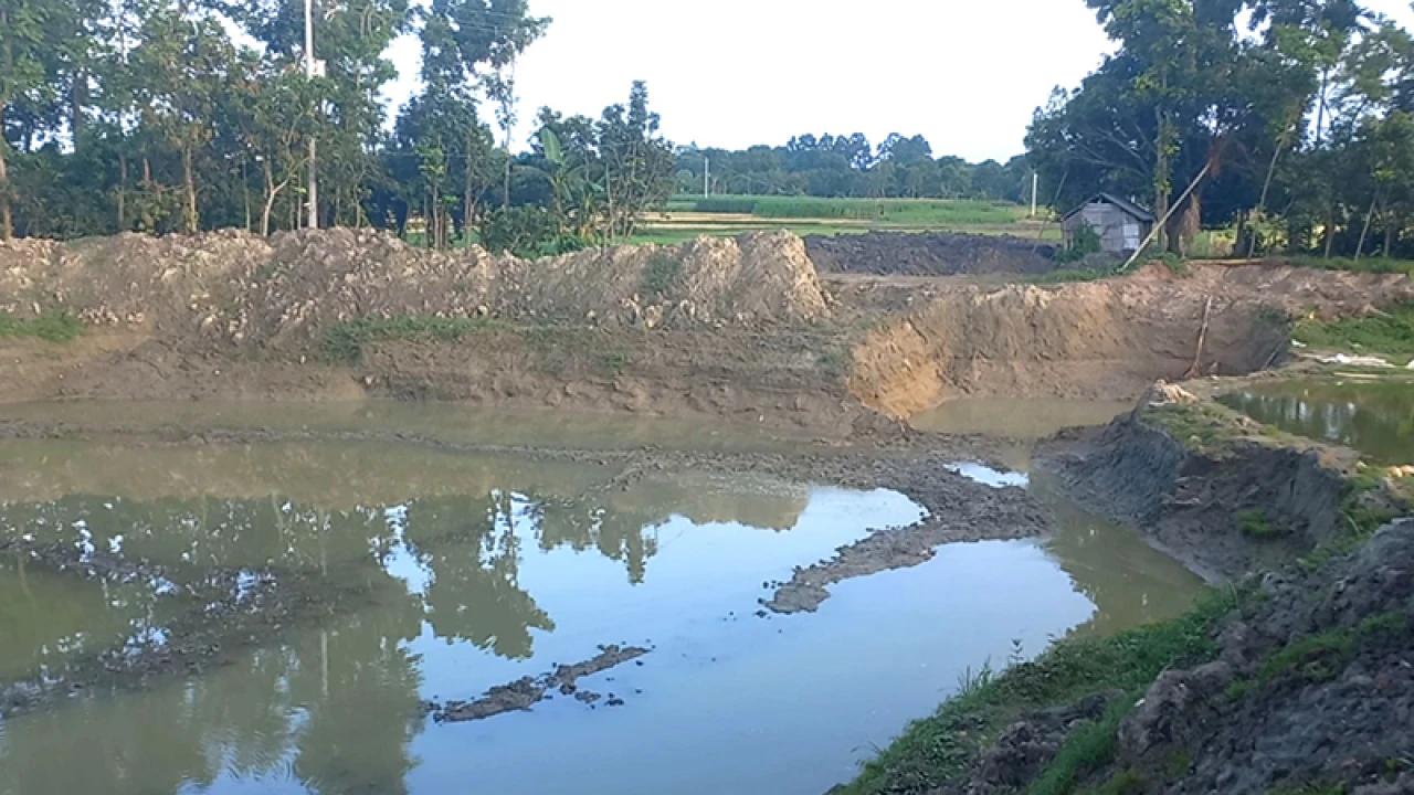 নাটোরে পুকুর সংস্কারের নামে মাটি বিক্রির অভিযোগ