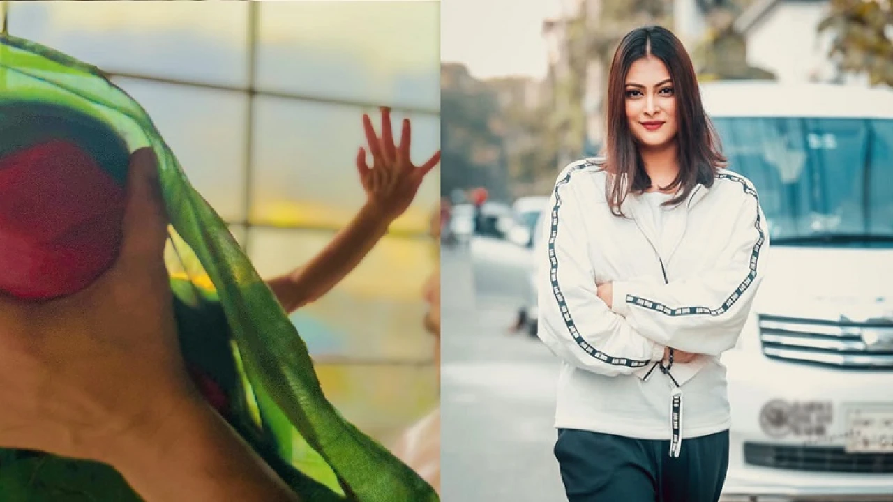 নবজাতককে পতাকায় জড়িয়ে কী লিখলেন নাবিলা