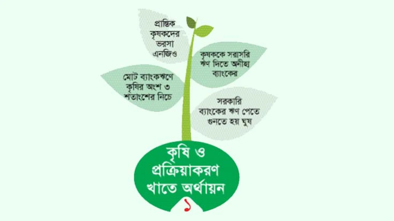 কৃষিতে নির্ভরশীলতা বেশি হলেও ব্যাংকঋণে পিছিয়ে