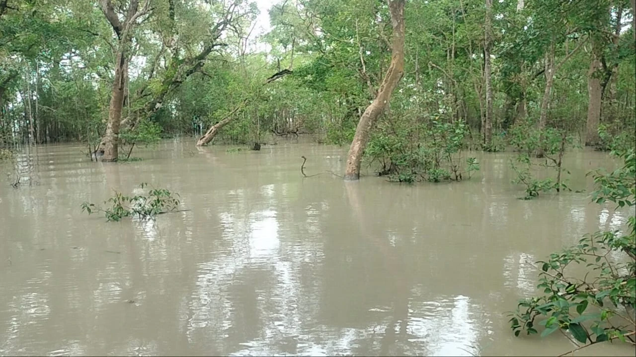 জলোচ্ছ্বাসে প্লাবিত সুন্দরবন, বিপৎসীমার ওপরে নদীর পানি