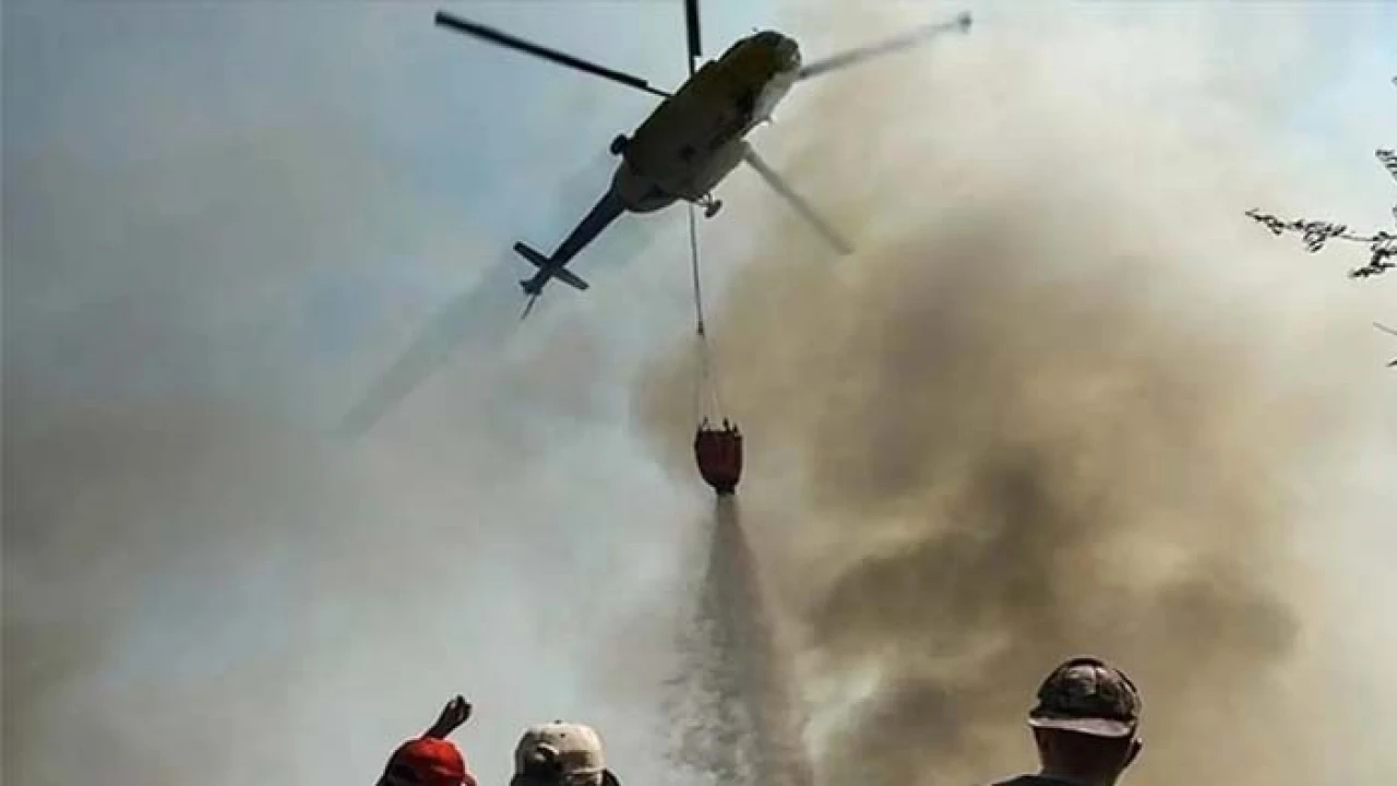 পর্তুগালে হেলিকপ্টার বিধ্বস্ত হয়ে নিহত ৪, পাইলট নিখোঁজ