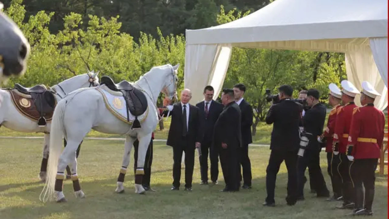 কিম জং-উনকে ঘোড়া উপহার দিলেন পুতিন
