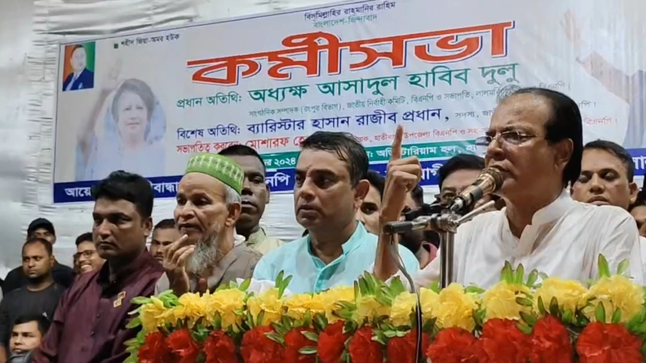 শেখ হাসিনার ওপর আল্লাহর গজব পড়েছে: দুলু