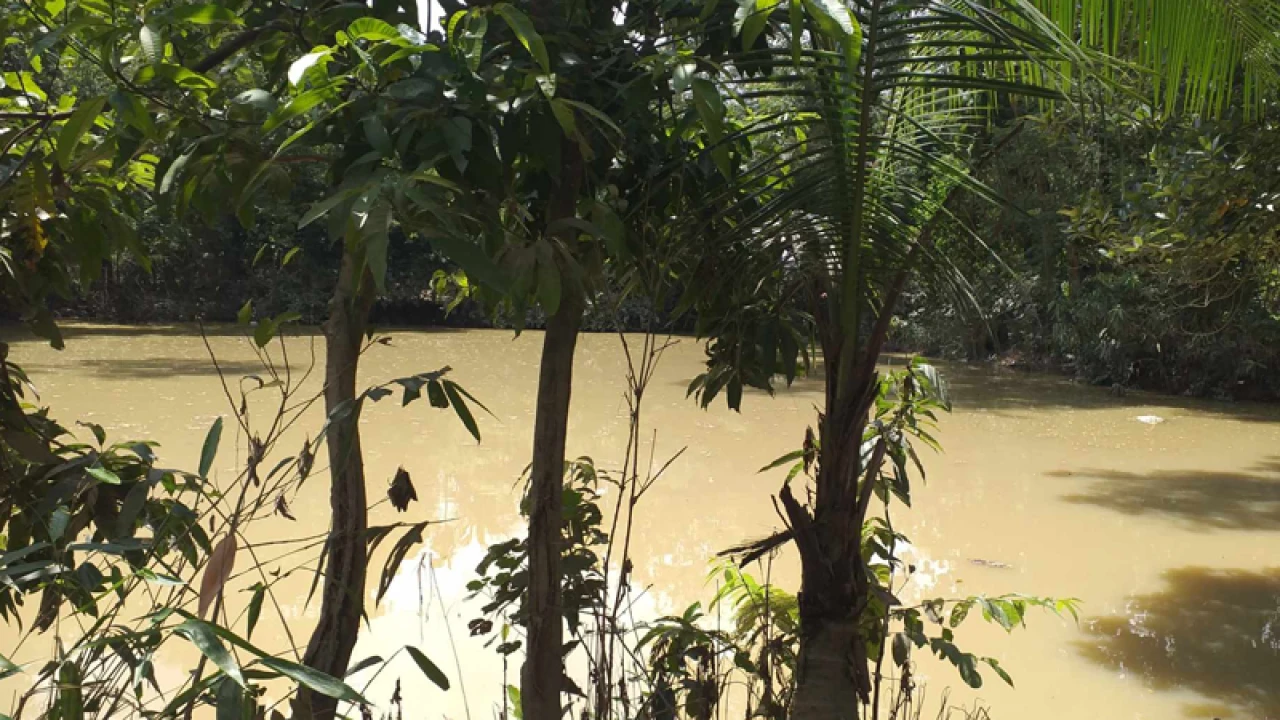 পুকুরে ডুবে প্রাণ গেল শিশুর