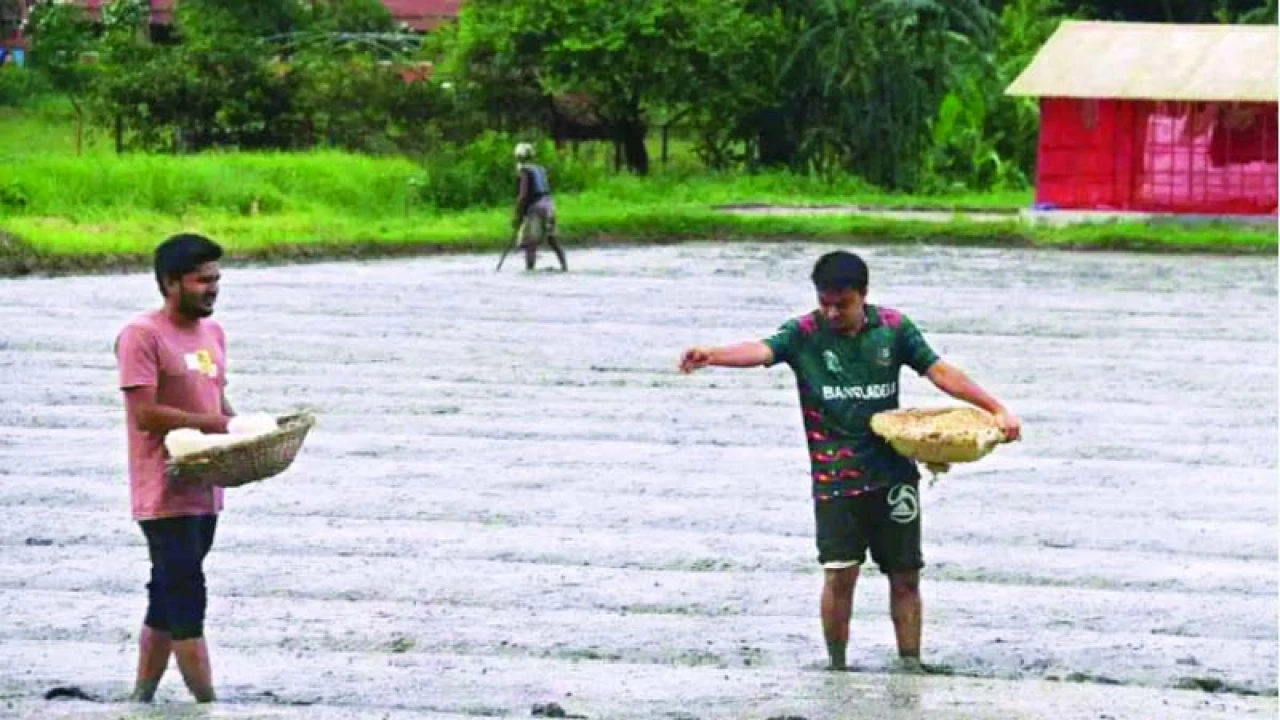কৃষকের পাশে কৃষি ও বিজ্ঞান-প্রযুক্তি বিশ্ববিদ্যালয়ের শিক্ষার্থীরা