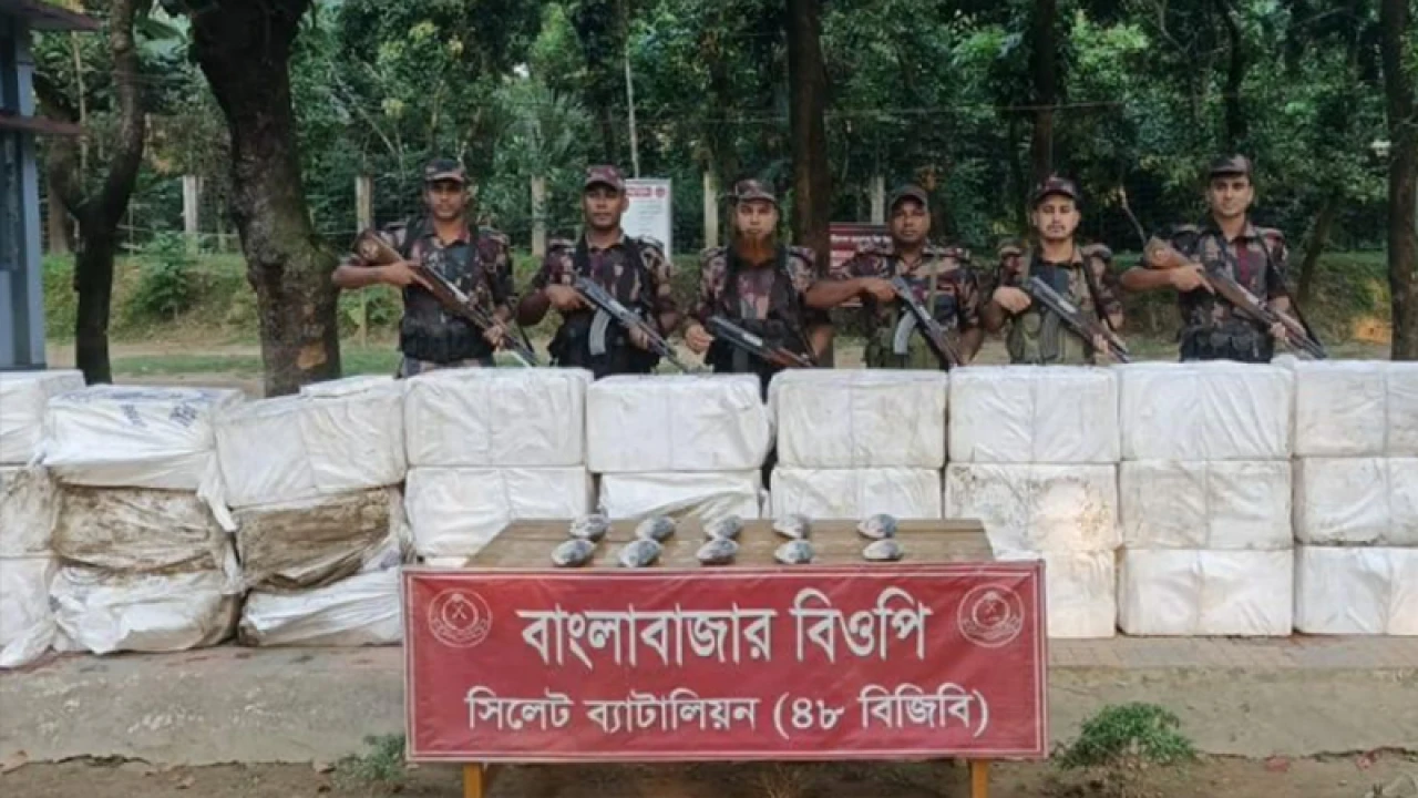 সুনামগঞ্জ সীমান্তে ৮৮৫ কেজি ইলিশ জব্দ