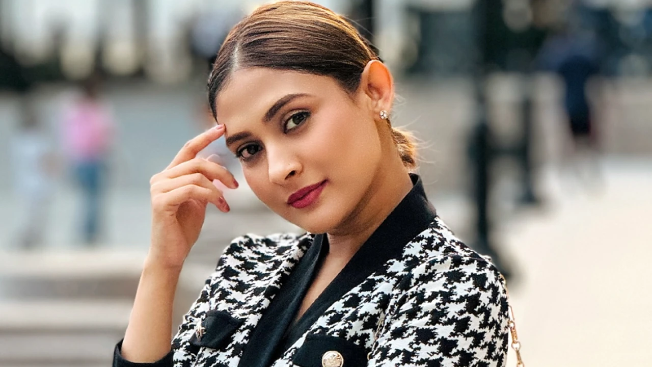 গণপিটুনিকে ‘স্বাভাবিক’ করার চেষ্টা কেন: মেহজাবীন