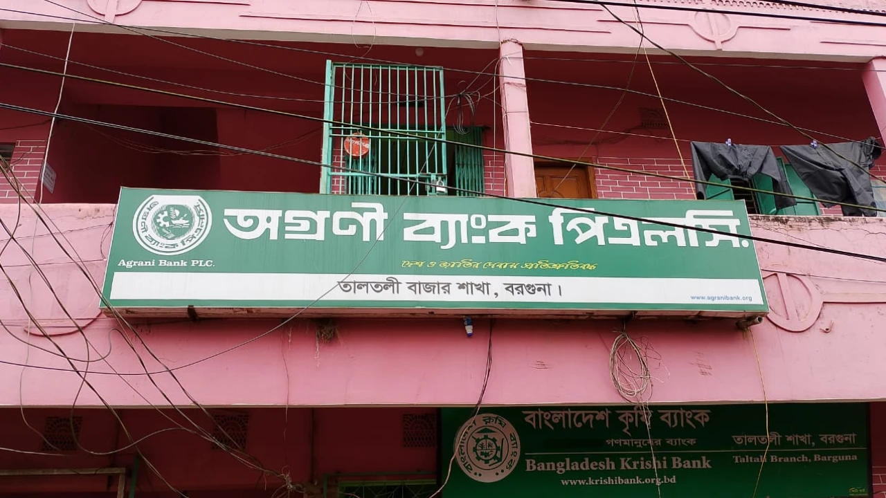 ব্যাংকের ভেতর থেকে প্রবাসী নারীর টাকা ছিনতাই