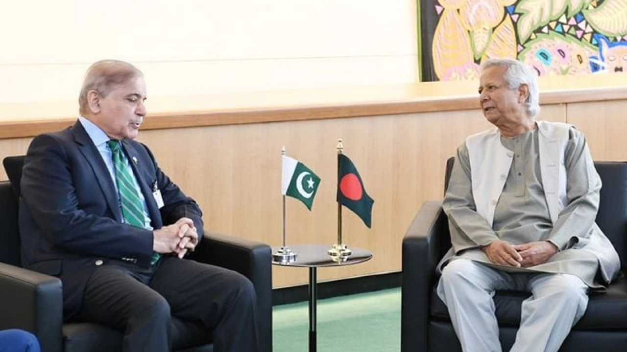 সার্ক পুনরুজ্জীবনে পাকিস্তানের সহায়তা চেয়েছেন ড. ইউনূস