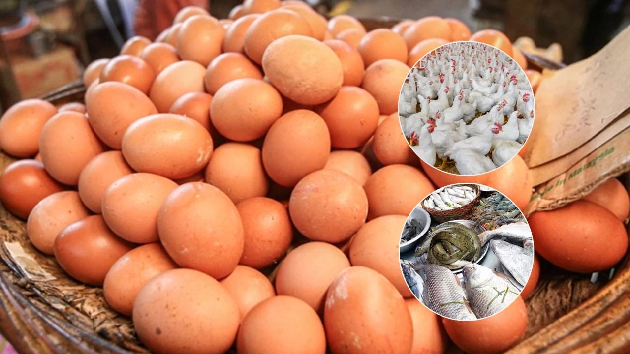 ডিম-মুরগি-মাছ সবই নাগালের বাইরে