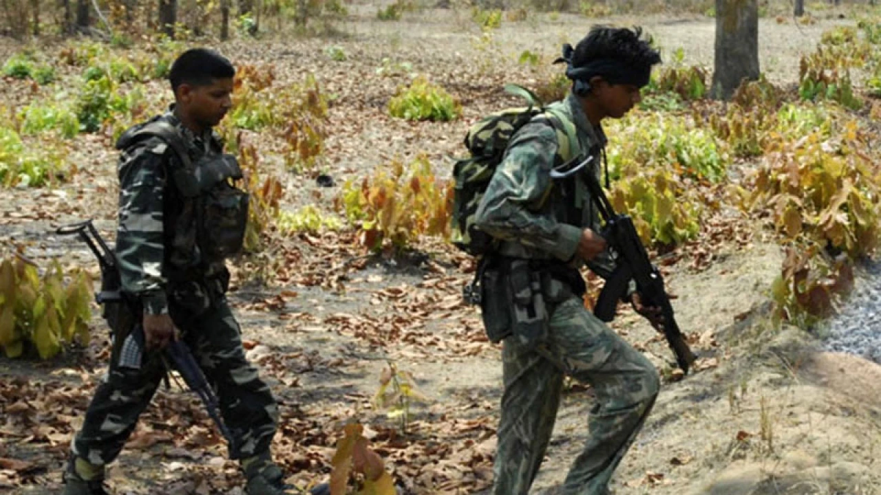ছত্তিশগড়ে নিরাপত্তা বাহিনীর গুলিত ৩০ মাওবাদী নিহত