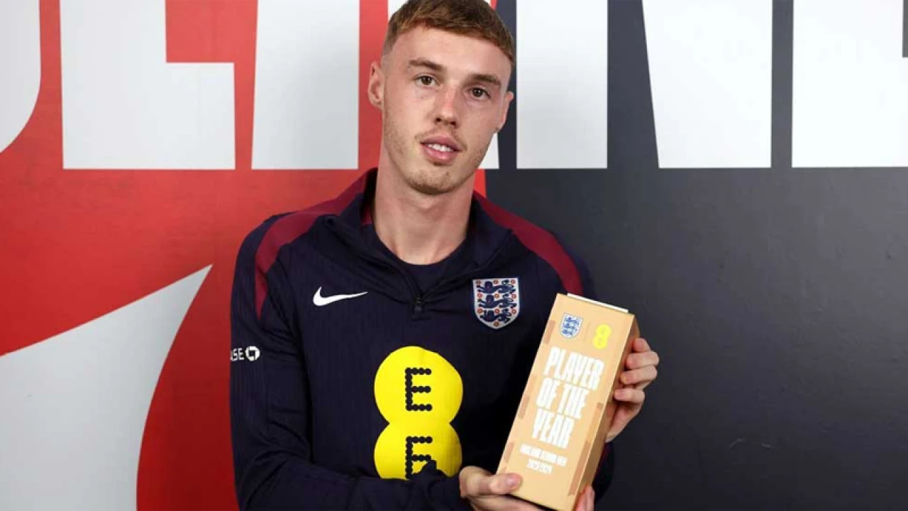 ইংল্যান্ডের বর্ষসেরা ফুটবলারের পুরস্কার জিতলেন পালমার