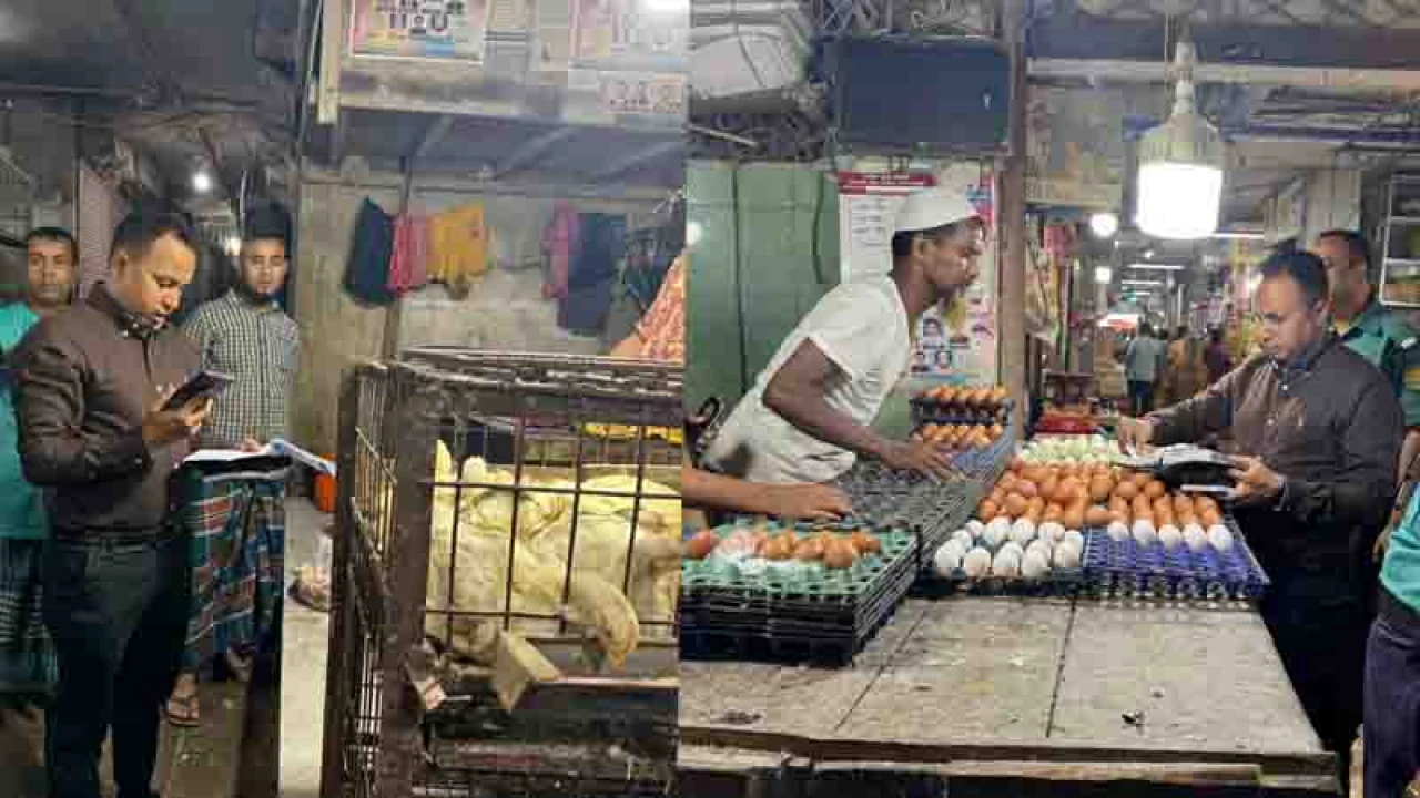বেশি দামে ডিম-মুরগি বিক্রি করায় ৭ ব্যবসায়ীকে জরিমানা