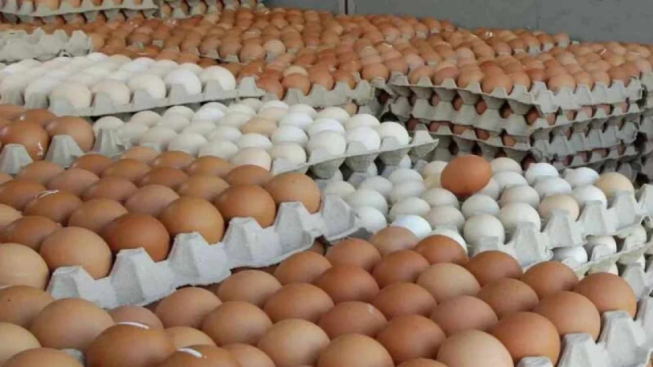 ডিমের বাজার অস্থির করপোরেট তেলেসমাতিতে