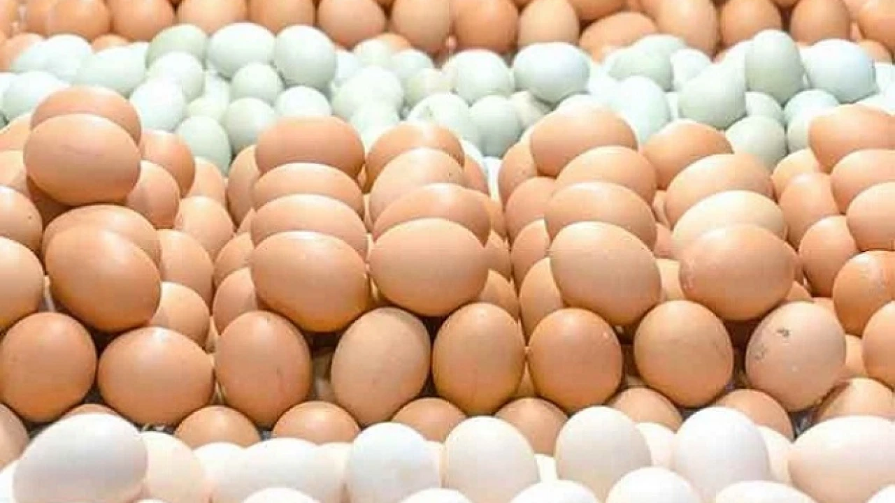 ডিমের বাজার সামাল দিতে নতুন কৌশল