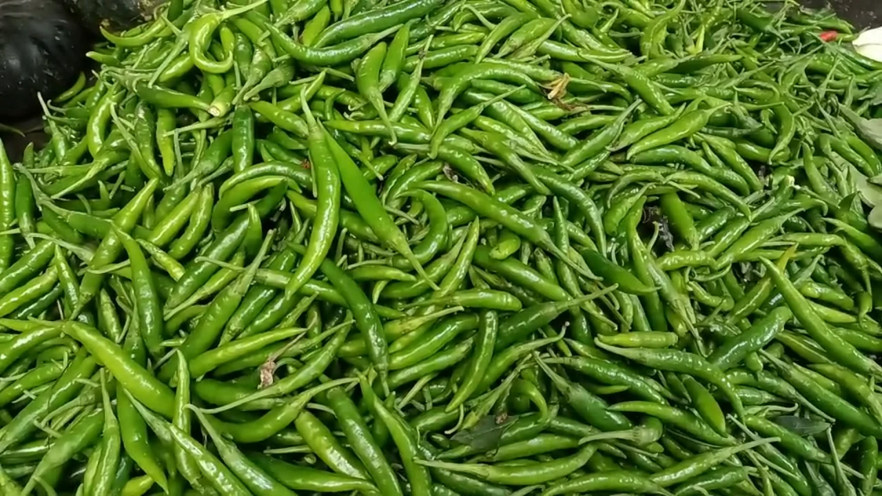 মরিচের কেজিতে কমেছে ১৪০ টাকা