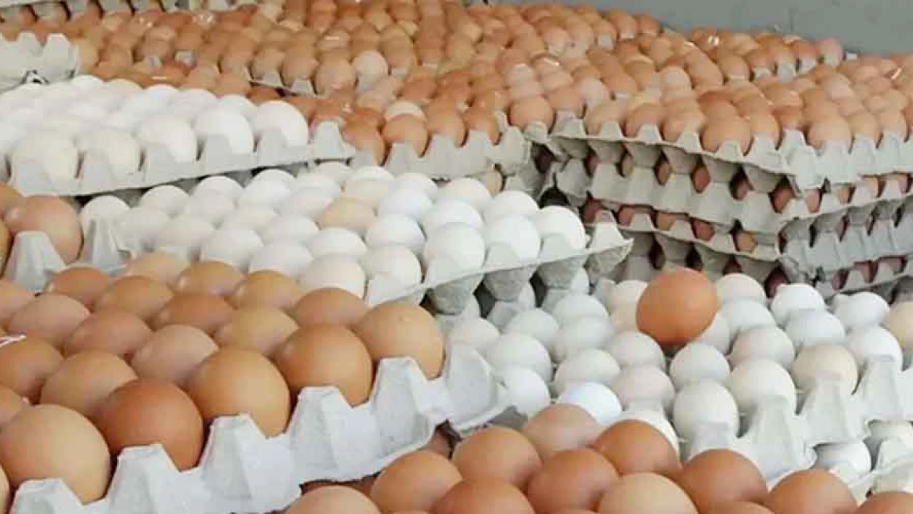 ‘কম দামে’ ডিম বিক্রির ঘোষণা দিলেন উৎপাদকরা