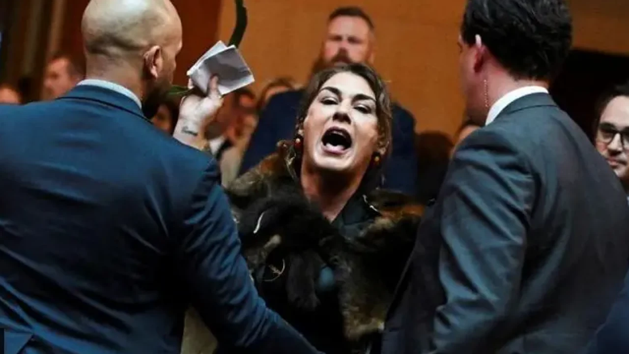 আপনি আমার রাজা নন: চার্লসকে সিনেটর