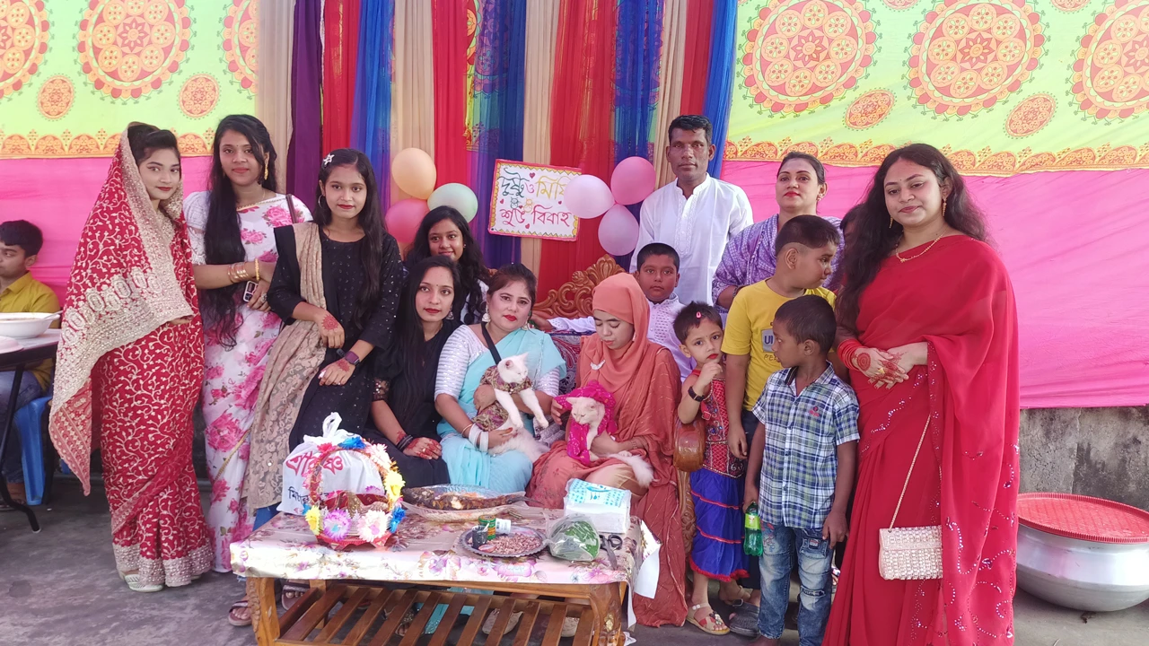 ১০ হাজার ১ টাকা দেনমোহরে ধুমধাম করে বিয়ে হলো বিড়ালের