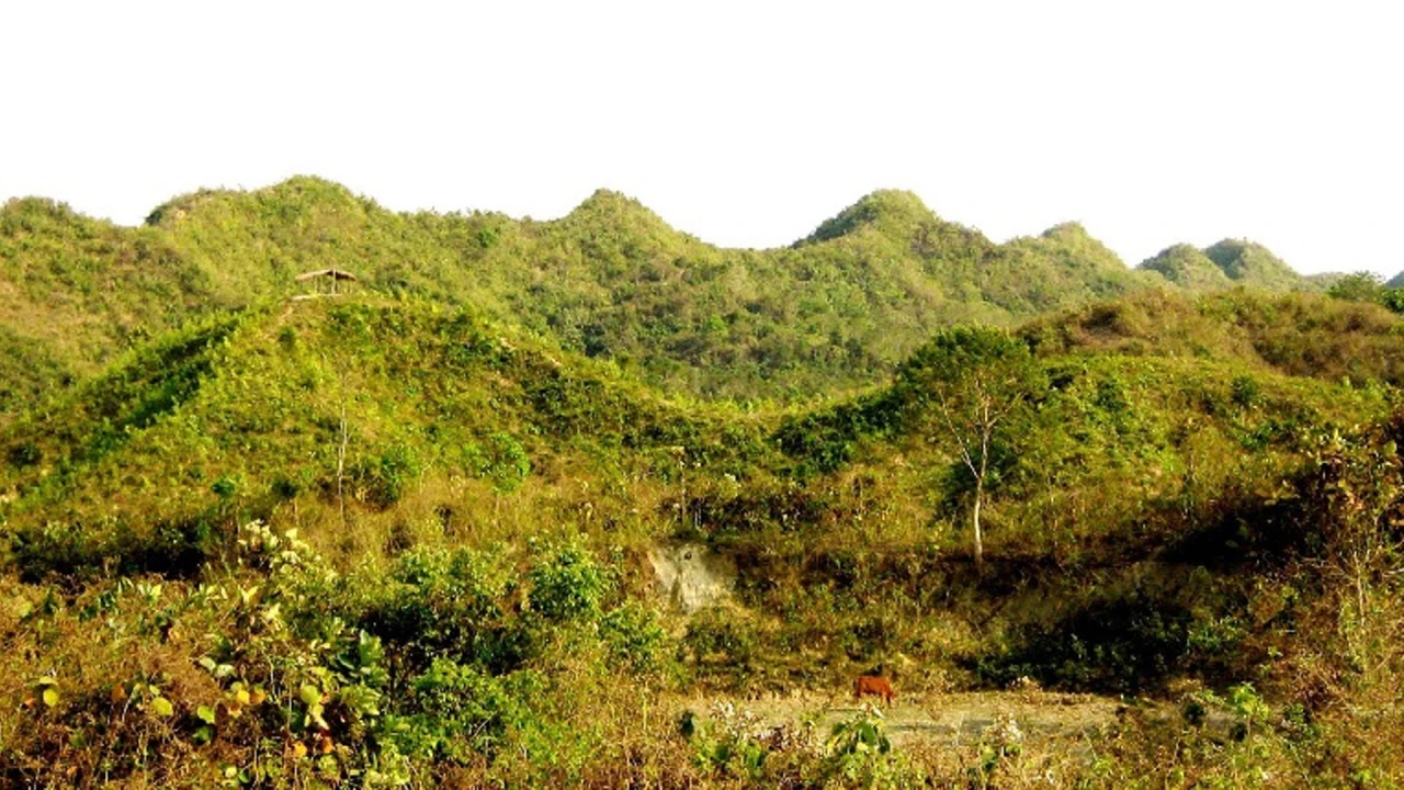 টেকনাফে ২ রোহিঙ্গাসহ ৯ কৃষককে অপহরণ